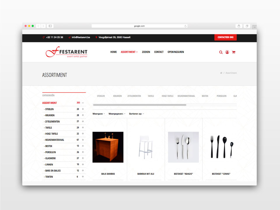 Snedig-webdesign-ontwerp-webshop-festarent